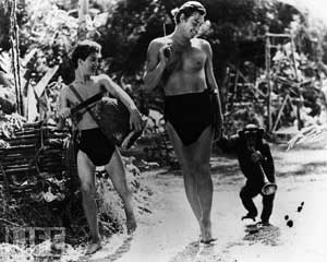 Johnny Weissmuller - Tarzan